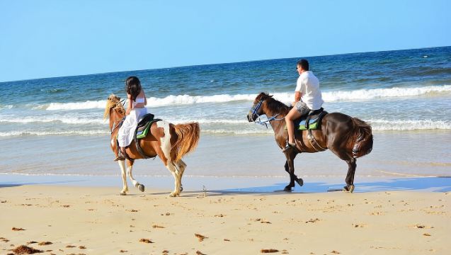 Horseback Riding in Rancho A Gift from God! (Option P)