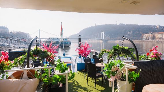 Budapest: crucero diurno con paradas libres y bebida de bienvenida
