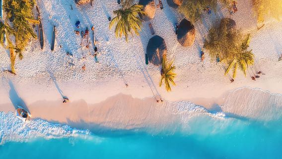 Zanzibar: Stone Town, Jozani Forest, Lunch & Paje Beach tour