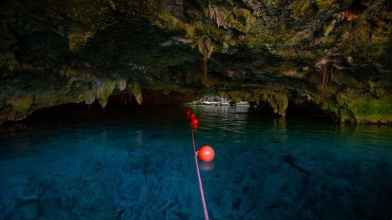 Tulum: Recorrido en bicicleta por el sendero de los cenotes