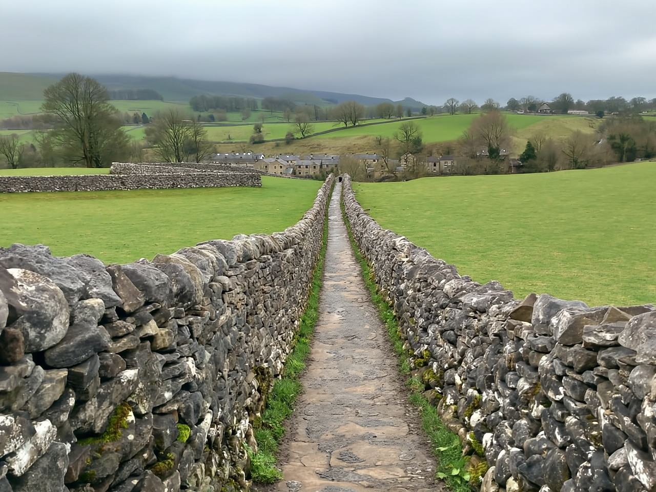 Da York: gita di un giorno a Herriot e nello Yorkshire Dales