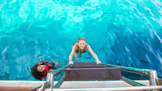 Ciudad de Kos: crucero de un día por Kalymnos y Pserimos y traslado opcional