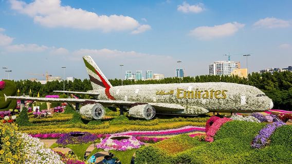 Dubai: Skip-The-Line Ticket to Dubai Miracle Garden