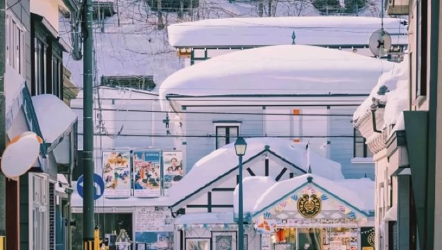 日本札幌來回小樽-天狗山-船見阪-情書取景-可包車-精選