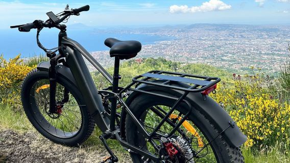 Naples: e-bike rental on Mount Vesuvius with crater access