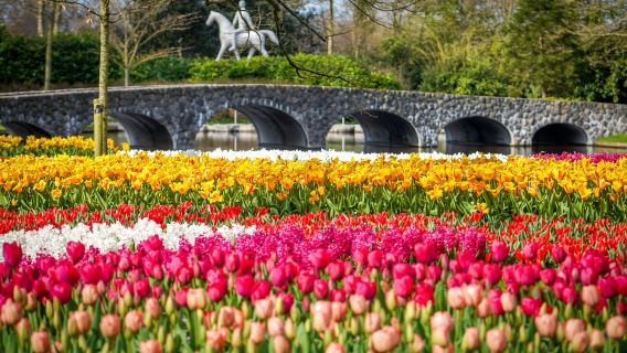 Amsterdam: Ingresso a Keukenhof e Navetta con Ritorno Flessibile