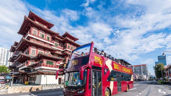 Singapore big bus hop-on hop-off bus ticket big bus Singapore hop on hop off tour