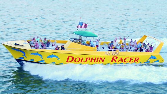 St. Pete Beach Dolphin Racer Adventure