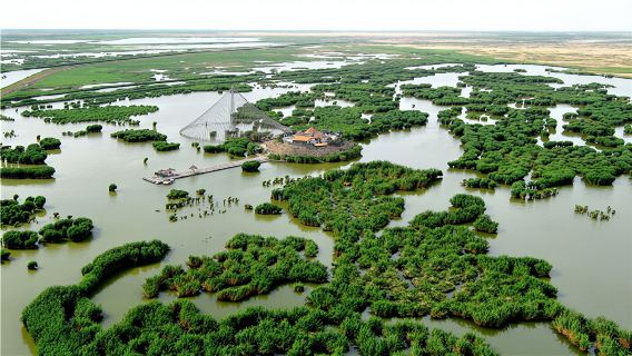 寧夏銀川·沙湖生態旅遊區一日遊(塞上江南/水繞沙丘)