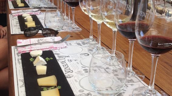 Daily Different small group WINE tour - STELLENBOSCH PICKUP only