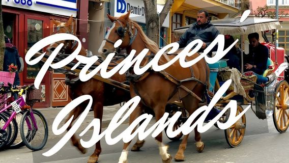 Princess Island Tour with Lunch & Ferry Ride