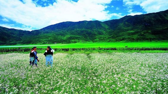 Private trekking tour to Wenhai lake from Lijiang half day service