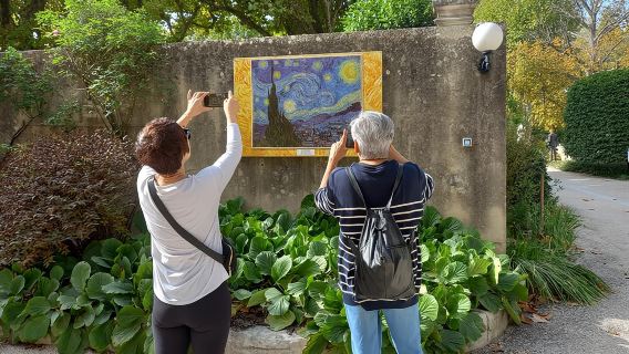 In the footsteps of Van Gogh in Provence from Avignon