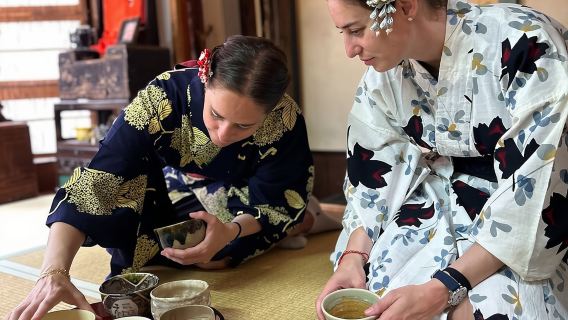 A Unique Antique Kimono and Tea ceremony Experience in English