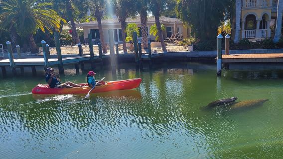 Escursione in kayak a Siesta Key