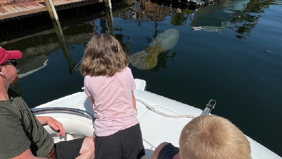 Öko-Tour durch die Florida Keys in kleiner Gruppe per Boot