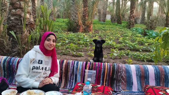 Saqqara, Dahshur, Memphis - 10%cho chó và mèo hoang