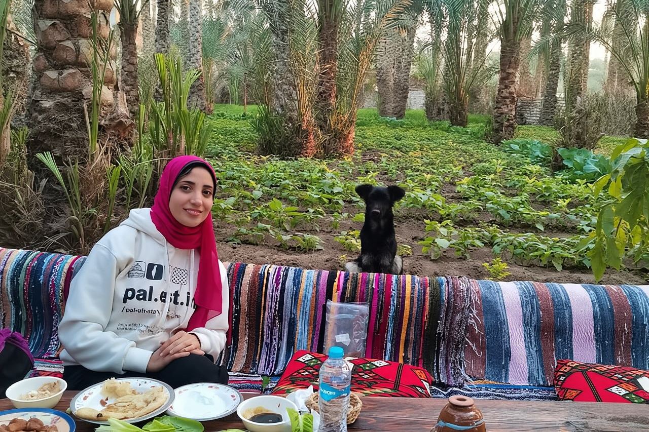 Saqqara, Dahshur, Memphis - 10%to stray dogs and cats 