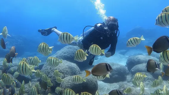 Beginner Scuba Diving Experience with Video Package in Honolulu