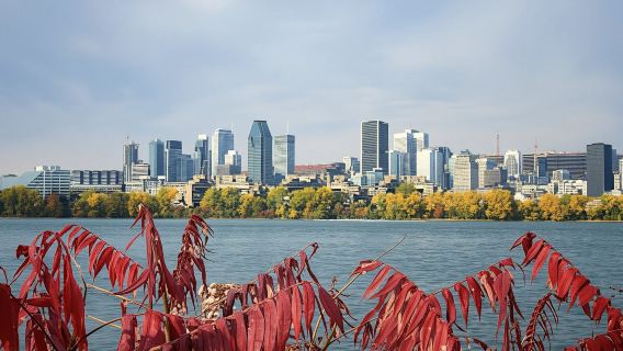 Montreal must-sees and hidden gems private walking tour