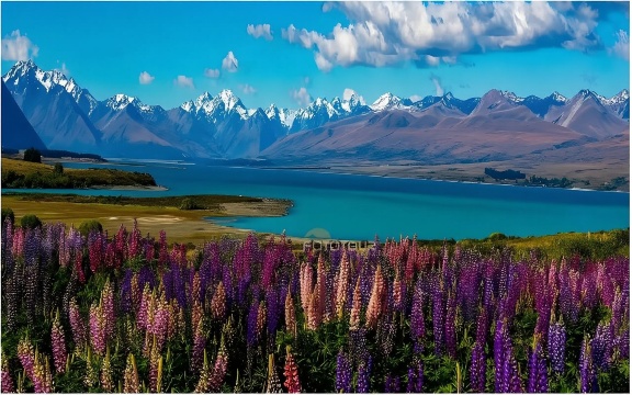 Perjalanan satu hari ke Lake Tekapo dari Queenstown [Sewa kendaraan pribadi untuk grup kecil]