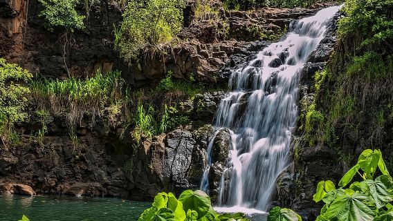 Oahu Circle Island Tour with Waimea Waterfall