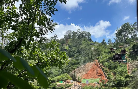 由我們私人司機駕駛的斯里蘭卡多日遊