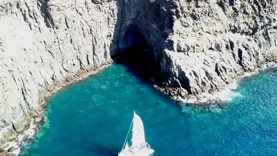 Tenerife: 3-Hour Whale & Dolphin Watching Catamaran Tour with Catering