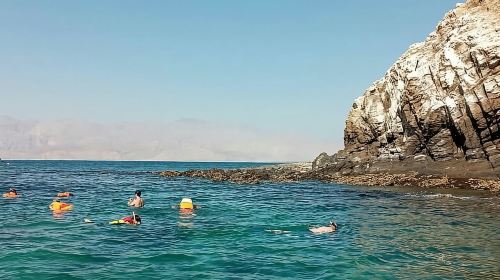 Full Day Musandam Cruise with Lunch and Snorkelling from Dubai Day Tours 2