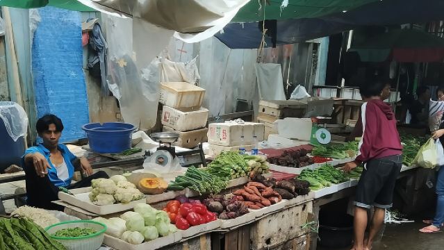 Privé dagtour met gids: Ontdek de hoogtepunten van Jakarta