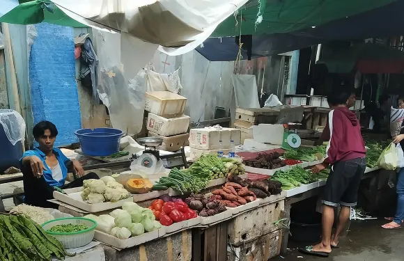 私人全日導賞團：探索雅加達頂級特色