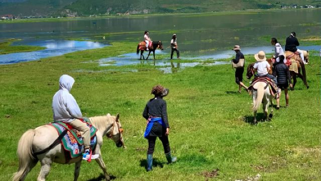 納帕海依拉草原含騎馬+土司宴半日遊【純玩+含接駁】