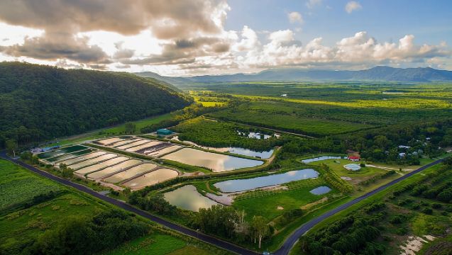Tour gastronómico Hook-a-Barra Gourmet Farm