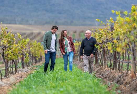 Hunter Valley: Wine Tour with 3 Tastings and Garden Lunch AUD 223.05