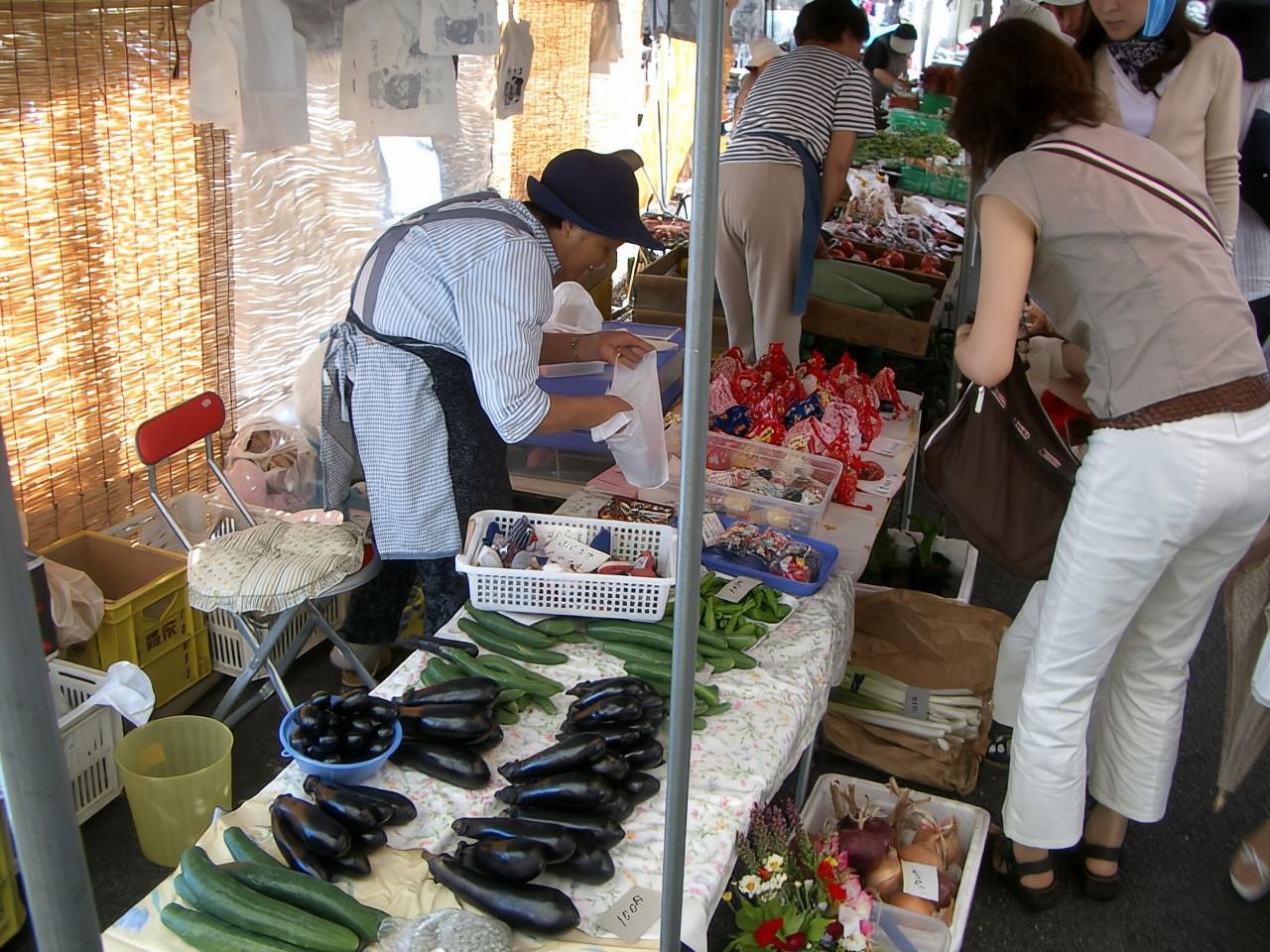 Billete de autobús de Nagoya a Takayama Ida/Ida y vuelta