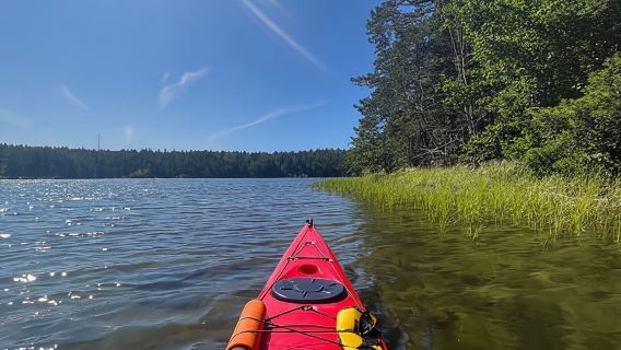 Estocolmo: Recorrido matutino en kayak por el archipiélago con almuerzo