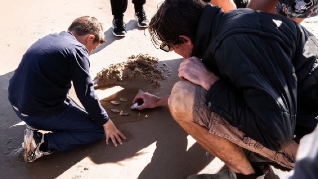 Port Stephens: Birubi Beach 4WD Tour with Sandboarding