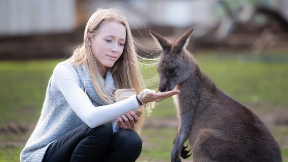 Hobart: Admission Ticket to Bonorong Wildlife Sanctuary