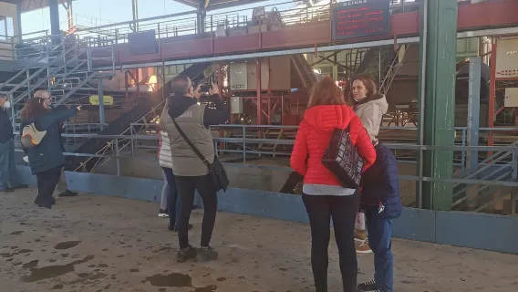 Cazorla: Oleotour - Iniciación a la Cultura del Aceite de Oliva