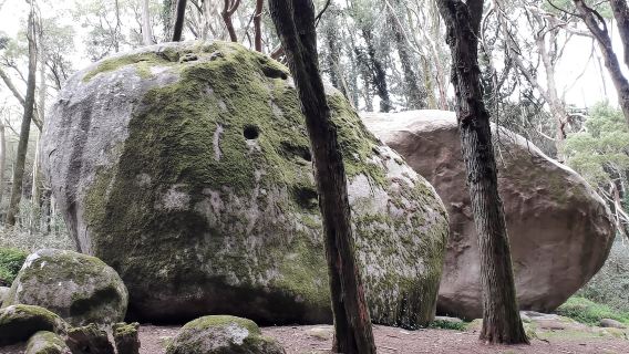 Cascais: Pengalaman Berenang dan Mendaki Air Terbuka