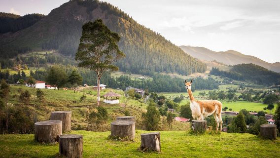 Cajamarca| Visita Combayo y Cañón Sangal