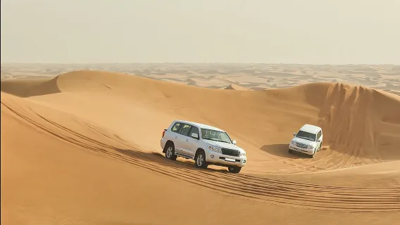Emozionante safari di 4 ore tra le dune e giro in cammello nel Mare Interno