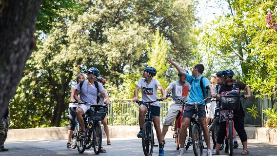 Nice best highlights electric bike tour