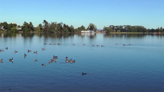 暢遊漢密爾頓：奧克蘭包車一日遊【景點自選-詳詢顧客服務中心】