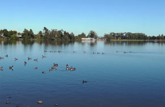 暢遊漢密爾頓：奧克蘭包車一日遊【景點自選-詳詢客戶服務支援】
