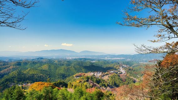 Historic and Natural Guided Hike in Yoshino