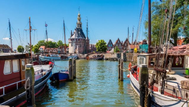 Netherlands Markthal + Old Harbour + Erasmusbrug + Rotterdam Zoo day tour