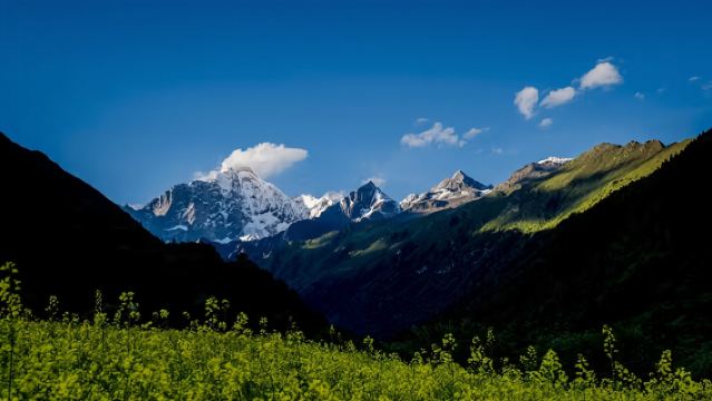 Chengdu-Siguniangshan Shuttle Bus|Private Chartered Tour to Cat's Nose Ridge | Sightseeing | Pure Fun |