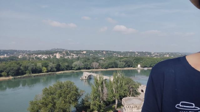 Avignon: Tur Jalan Kaki Kota dengan Tiket Masuk Istana Paus