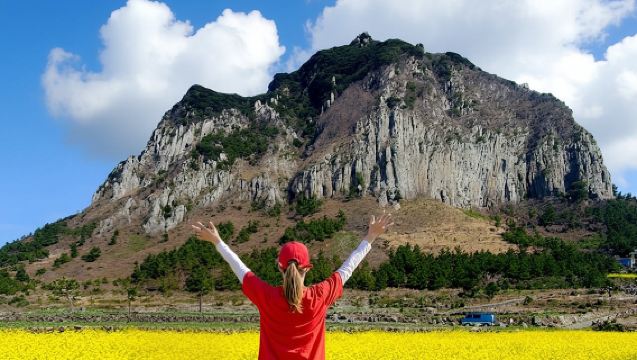 Jeju South-West Essentials: Hallasan & Signature Highlights